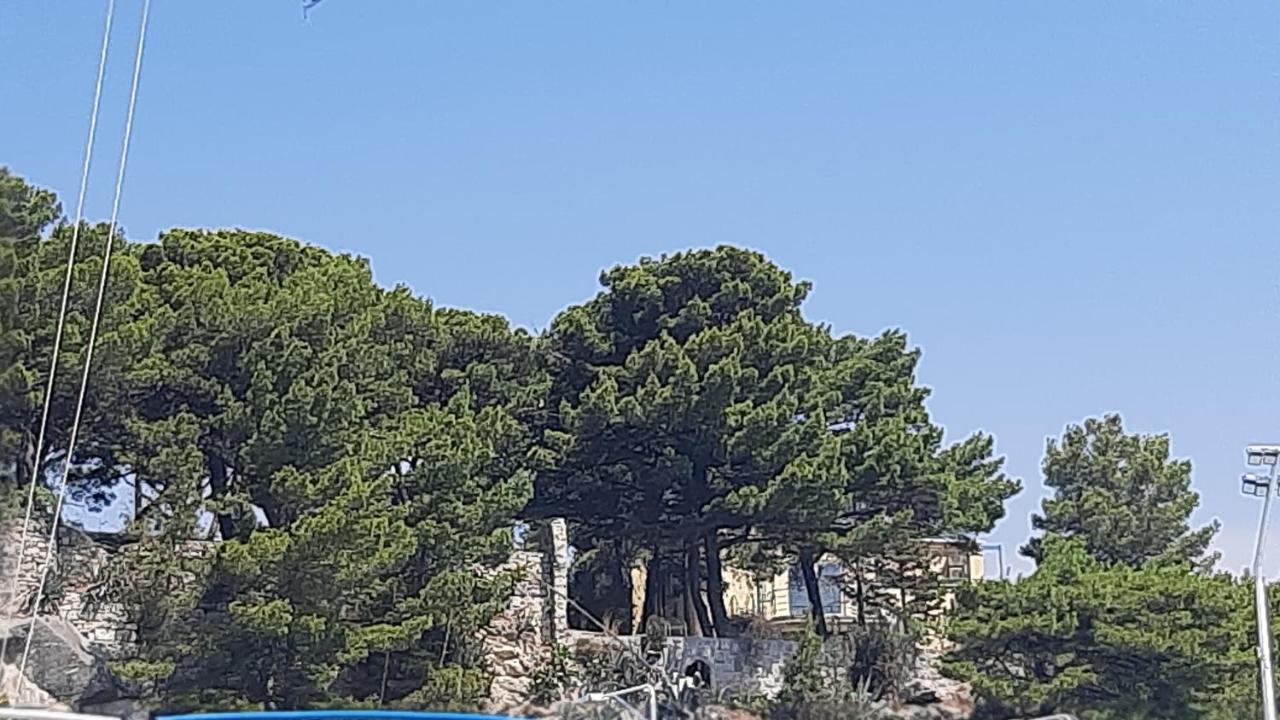 Old Captain'S Apartments - In A Pine Wood By The Sea And Tennis Courts Spalato Esterno foto