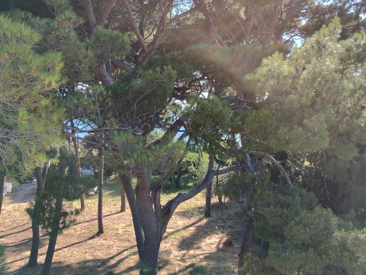 Old Captain'S Apartments - In A Pine Wood By The Sea And Tennis Courts Spalato Esterno foto
